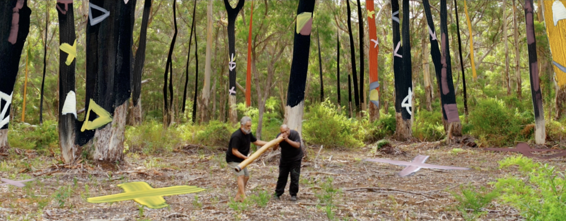 Video still from WA Museum Digital Art Project artwork Kaya Boodja by Patrick Carter.  Patrick Carter with Kelton Pell and animated artworks on trees, Wadandi Country, WA, 2023. Image courtesy of MyPlace.